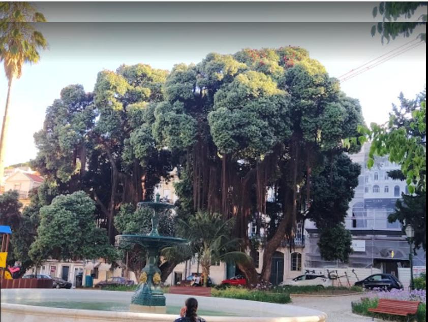 شقة Alegramente Lisboa المظهر الخارجي الصورة